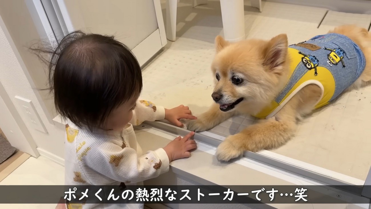 「おかえり！」とお手々をツンツン♡