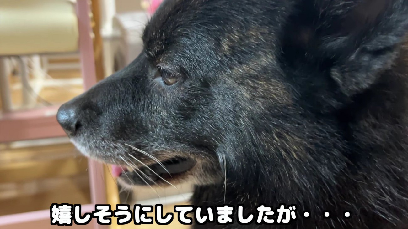 ほっと一安心！？