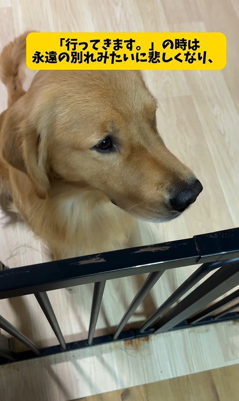 アルトくんと子どもたちの日常7