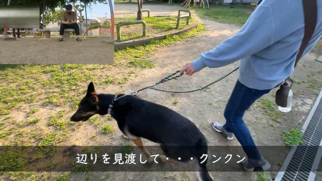 「パパがいる気がする…どこ？」
