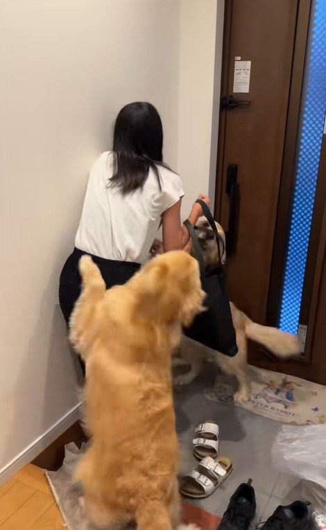 ちあちゃん＆ひまわりちゃんの熱烈歓迎2