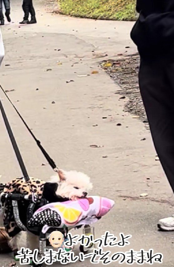 苦しまなかったことが救い