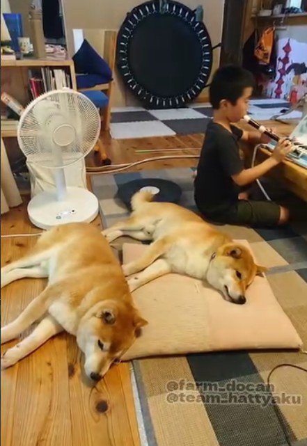 温かな日々を堪能中