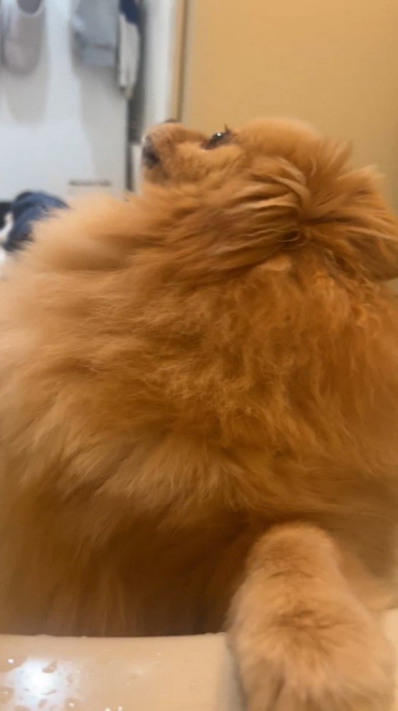 お風呂場の外を見て…