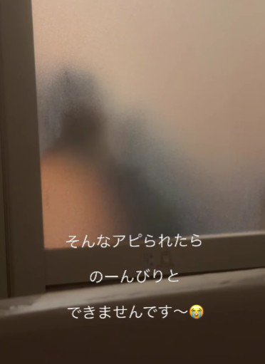 曇りガラスの向こうで…