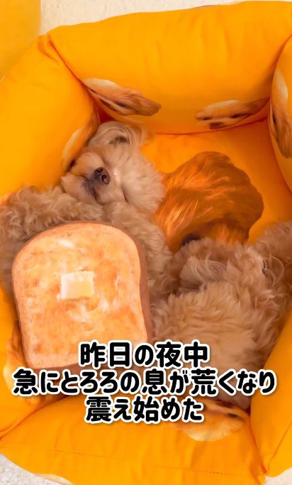 小刻みに震え出した…