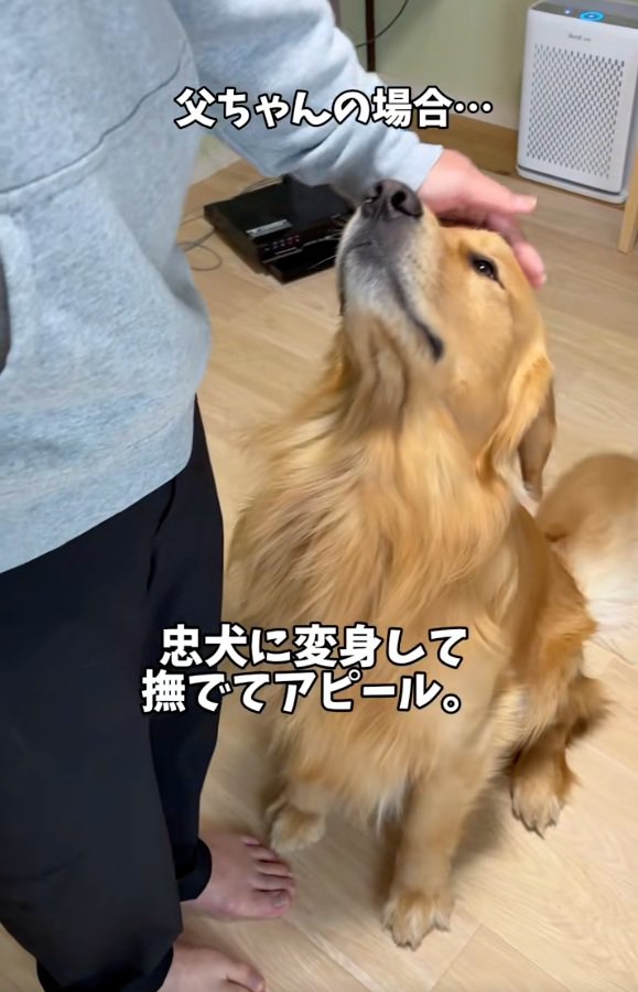 忠犬に変身したアルトくん