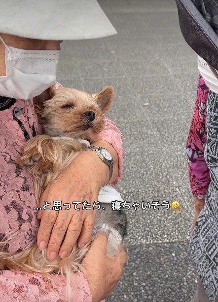 心地よくてスヤスヤ