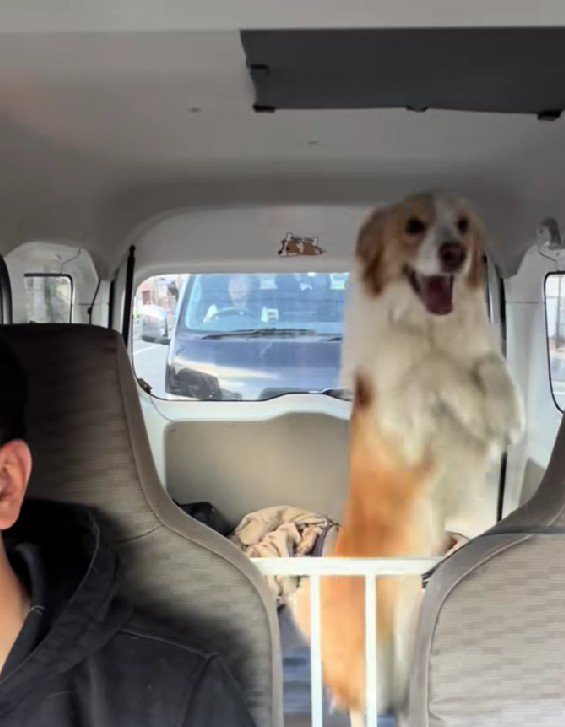 ジャンプが止まらない！