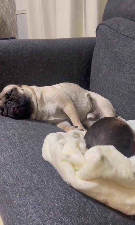 あぽ君とのえる君と赤ちゃん7