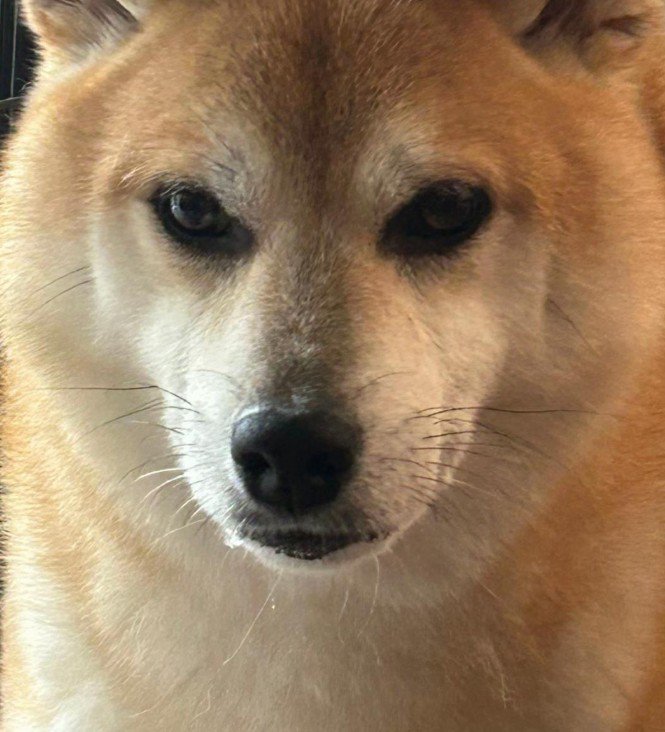 嫌すぎて感情を失った…！？