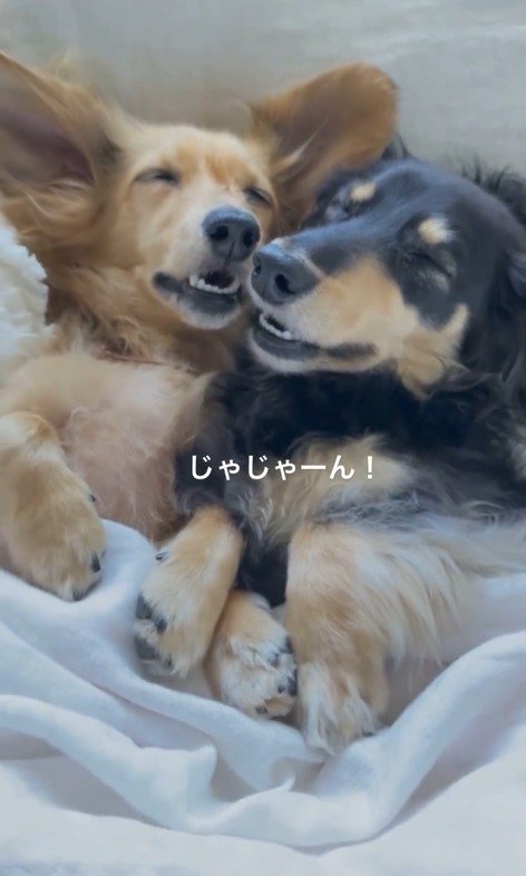 表情を見てみると…？