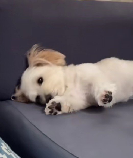 「とりあえず二度寝しよ…」