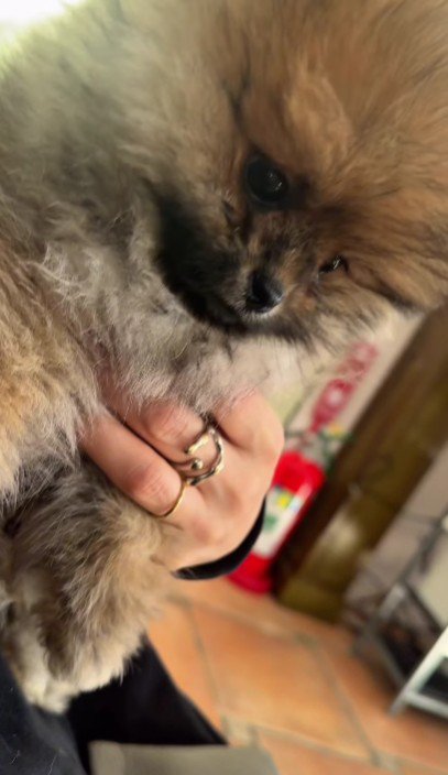 心配そうな顔で待機