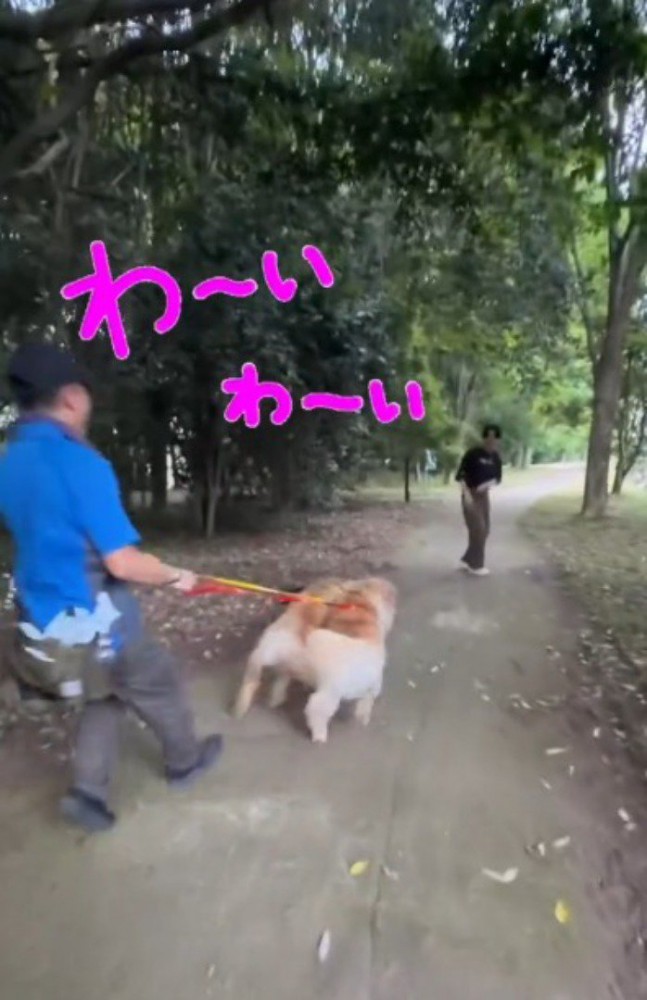男性の方へ駆け出す兄犬