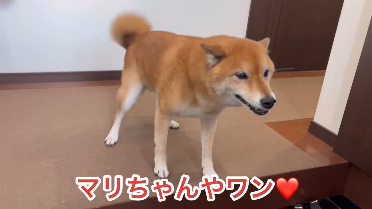 ロックくんは大喜び！