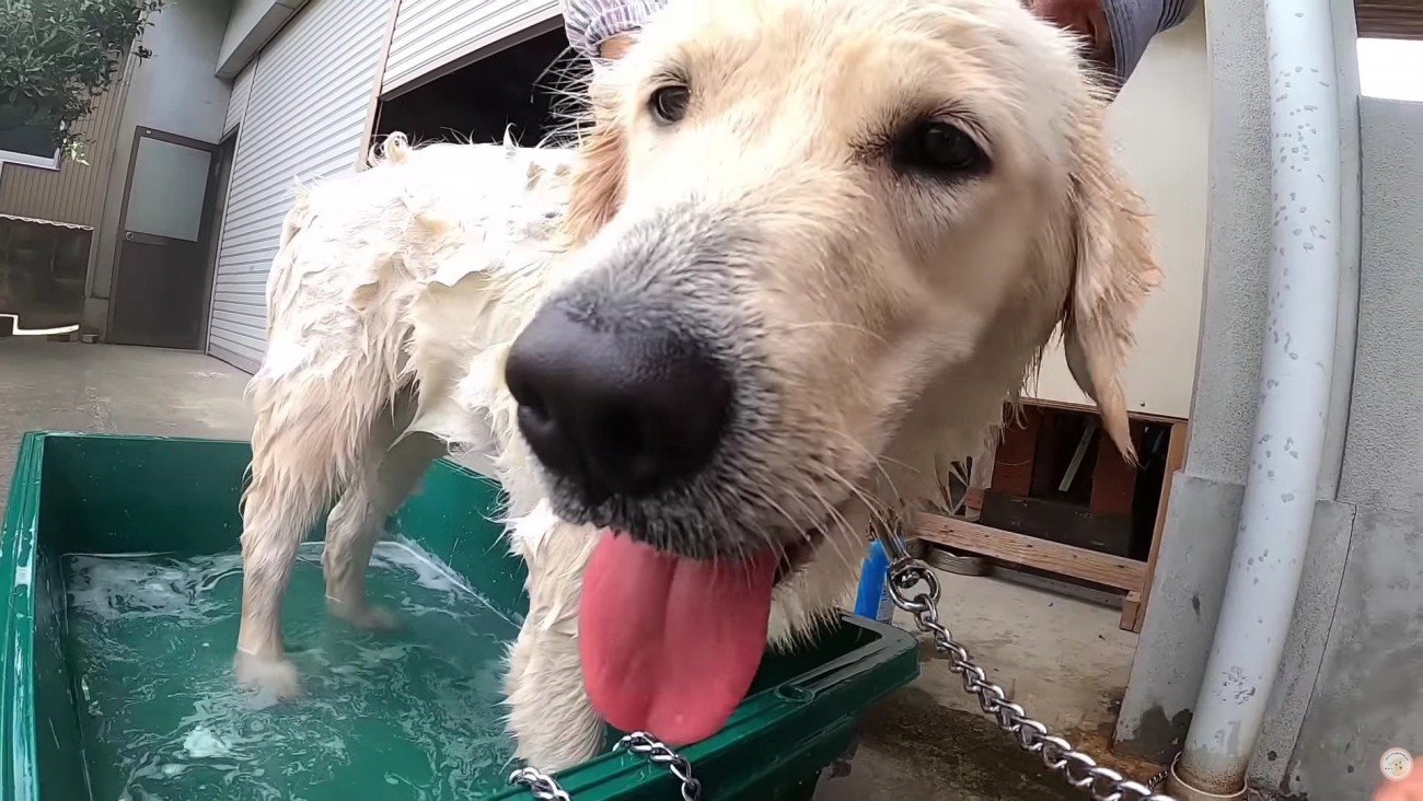 さっぱりして気持ちいい♡