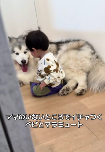 イチャイチャする2人の姿が…