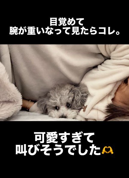 心の中で悲鳴！？