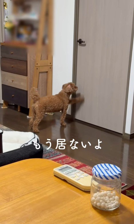 諦めきれずにドアを引っ掻くタローくん