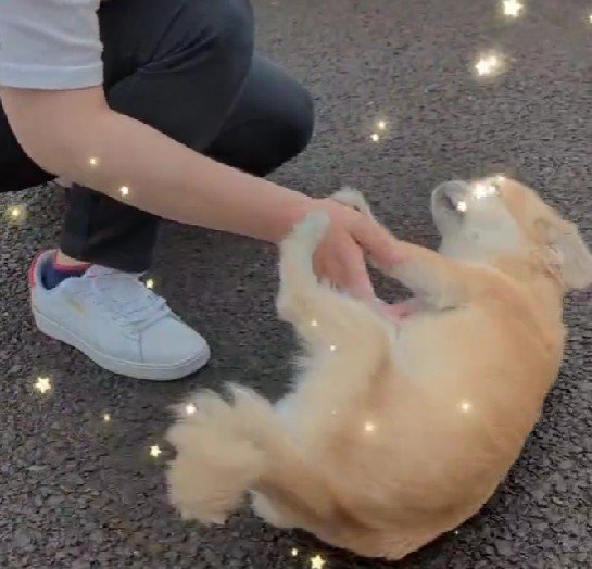 ストレートな愛情表現に涙…