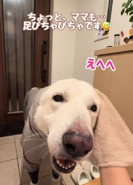 やっとゴキゲンに♪