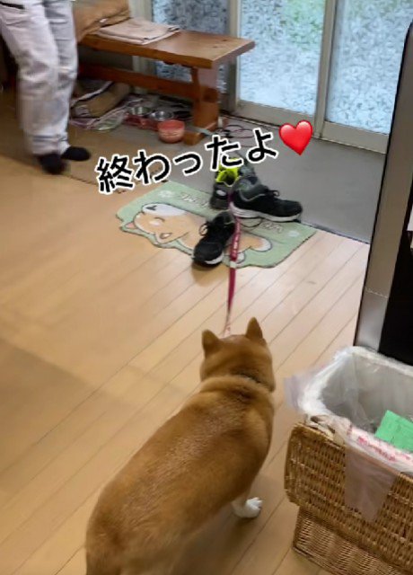 心温まるワンシーンでした