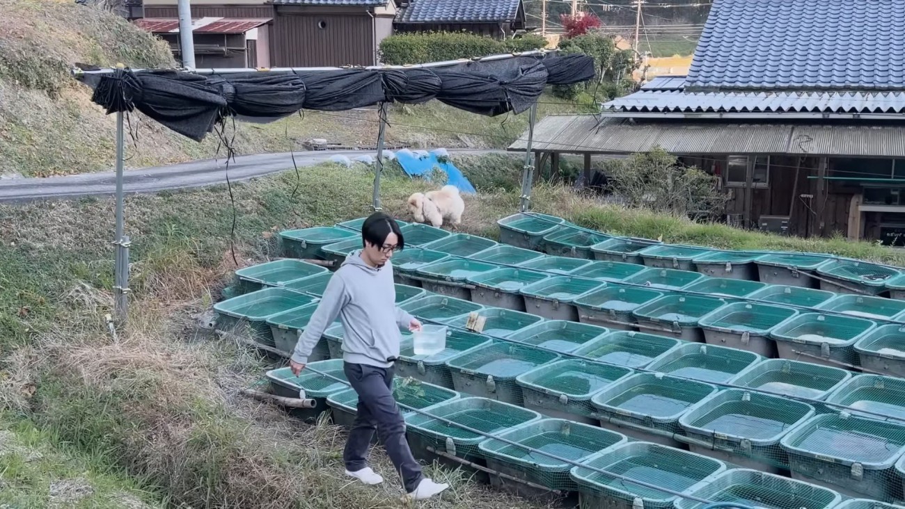 作業を見守りながら冒険♪