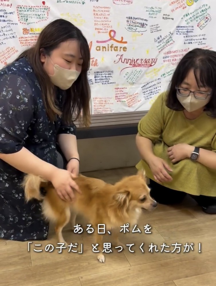 人に囲まれて立つ犬