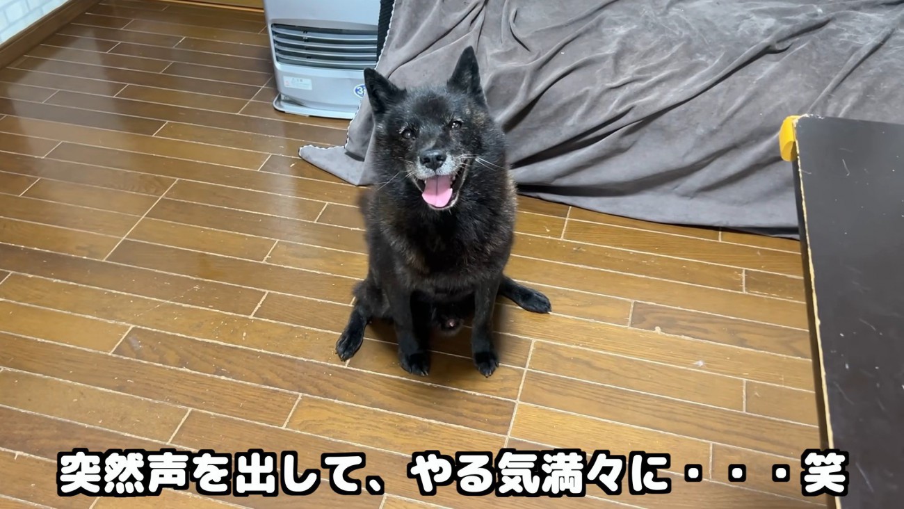 実家に行こうとしたら笑顔に♪