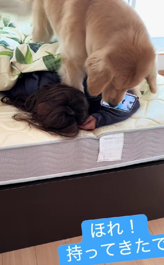 スマホを枕元に…！！