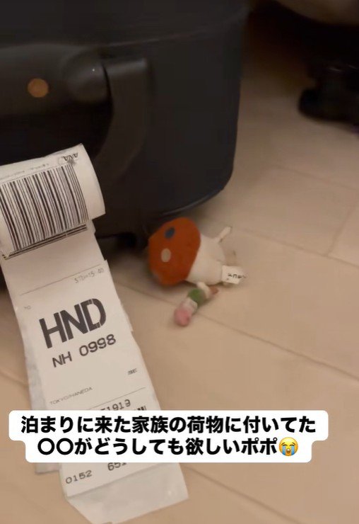 そこにはドコモダケが…！