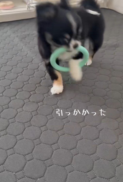 引っ張っても取れません！