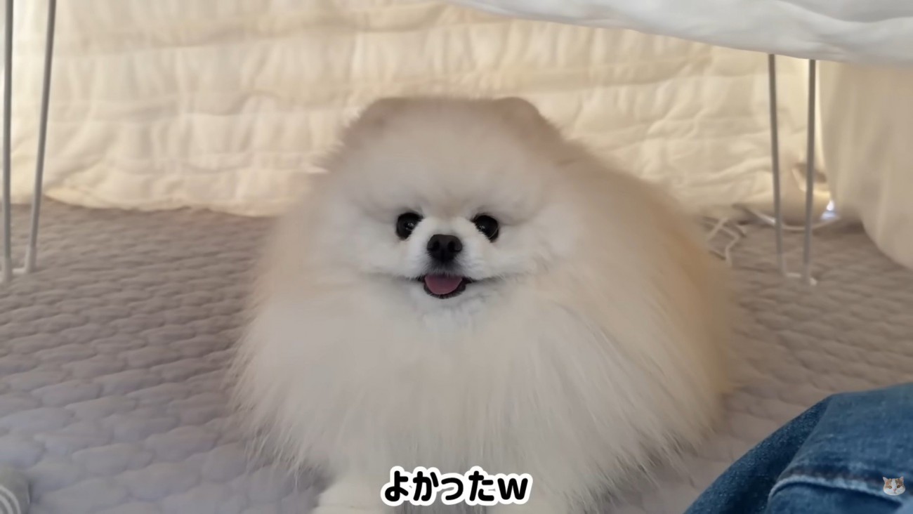 やっと入れて笑顔に♪