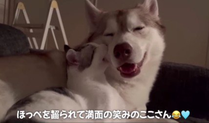 満面の笑みに♡