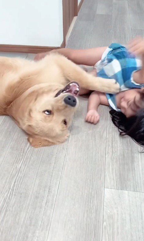 LUKE くんと末っ子ちゃんの成長記録6