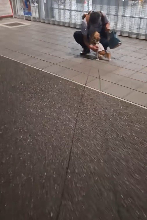 CoCoちゃんとパパさんの再会5