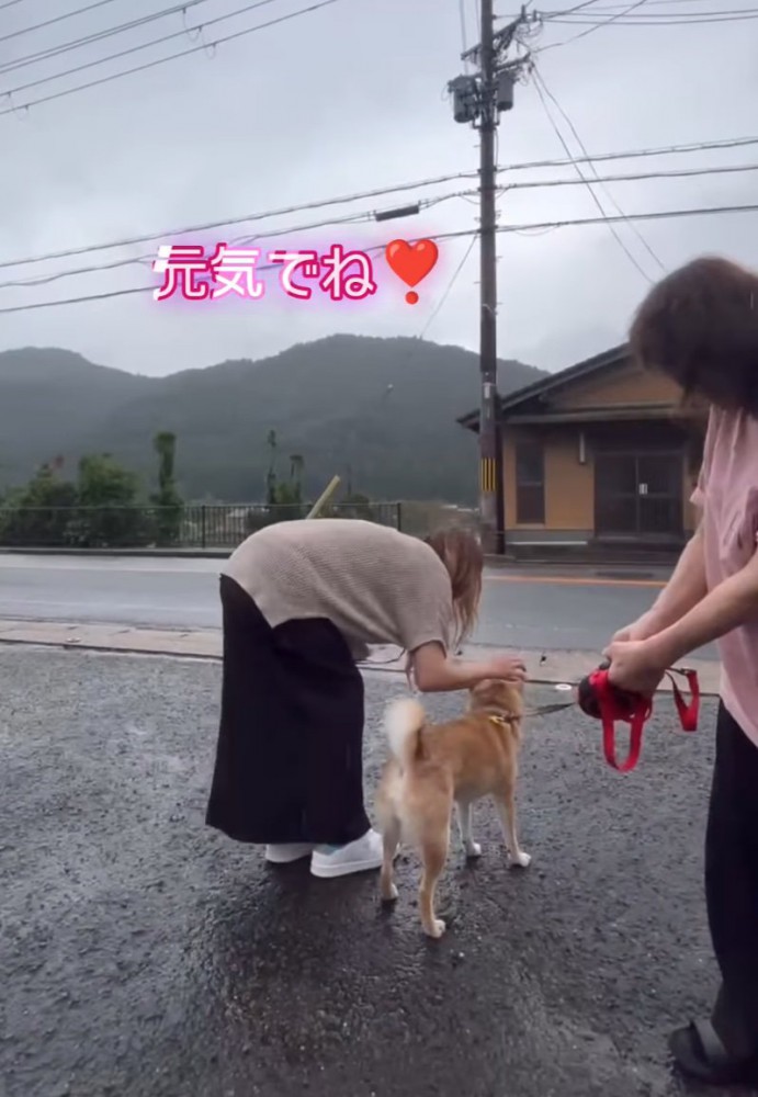 保護主さんとのお別れ