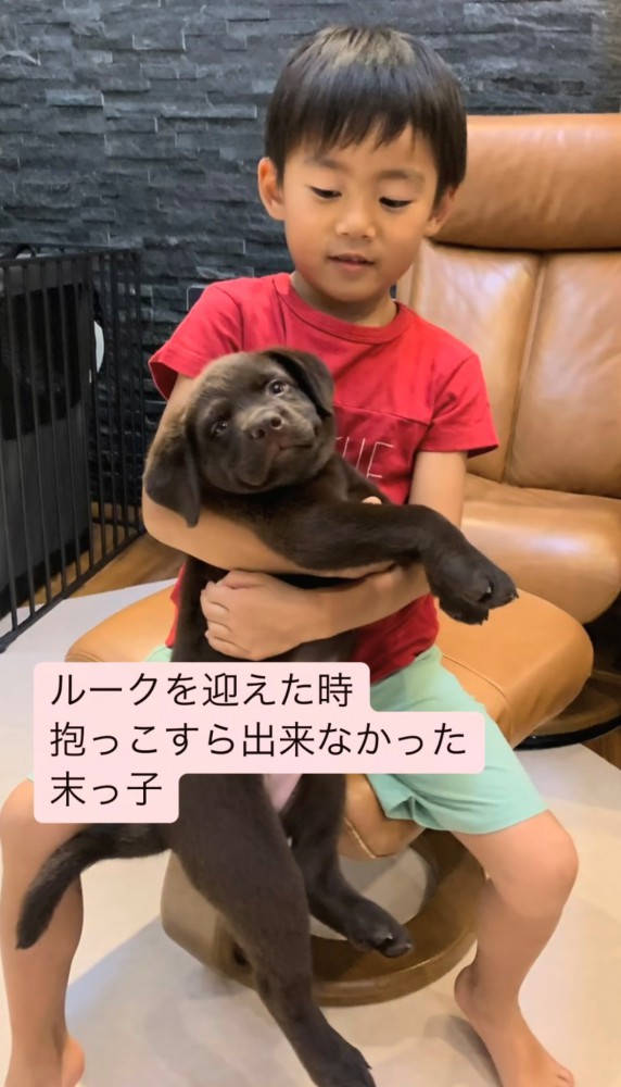子どもが子犬を抱っこしようとしている姿