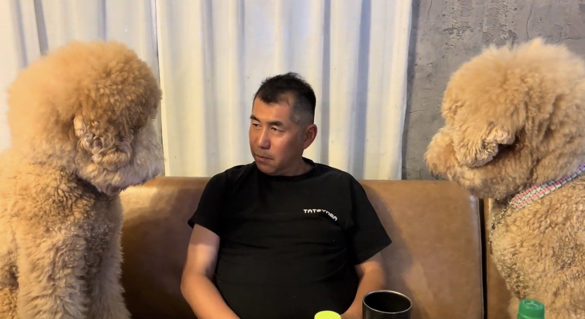 人を見つめる2頭の犬