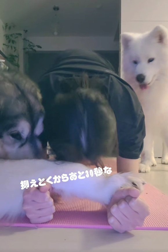 スパルタのぽてまる君