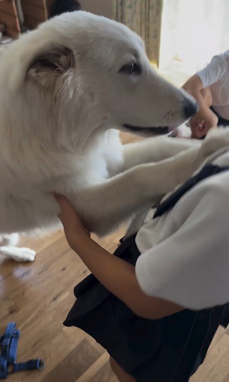 帰宅後のお子さんたちとまる君3