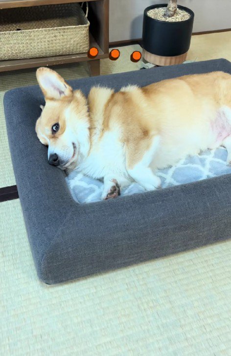 まさかの塩対応