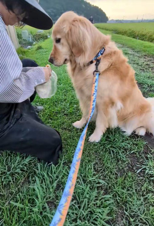 すっかりオヤツに夢中♪