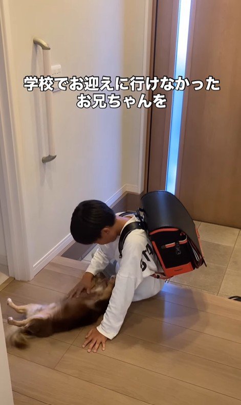 アムくんとお兄ちゃんの再会6