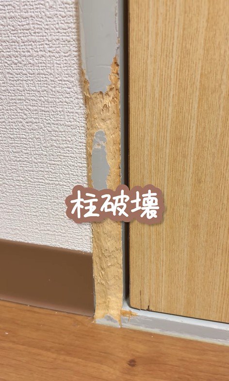 イタズラ好きなたこやきちゃん4