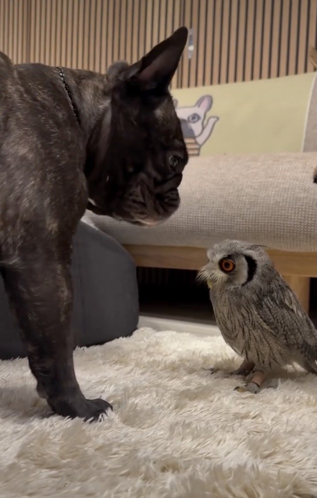 仲良くなれる日が楽しみ。