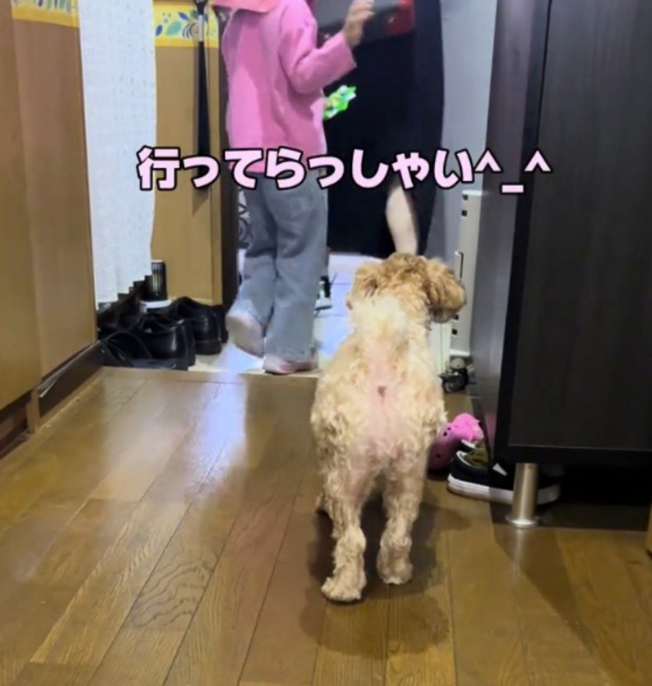 玄関を出ようとする家族を見つめる犬