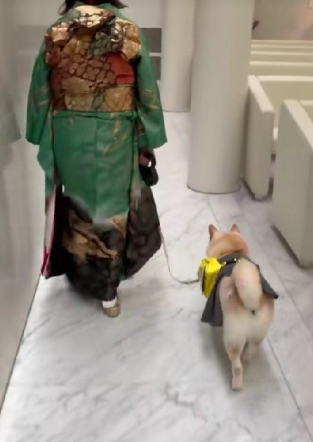 テチテチ歩いて会場を出る