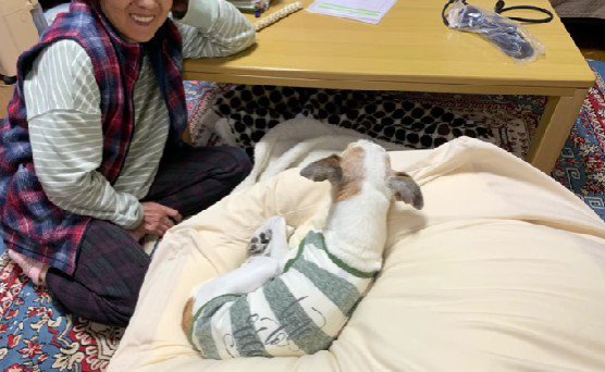 これからは賑やかな4人暮らし